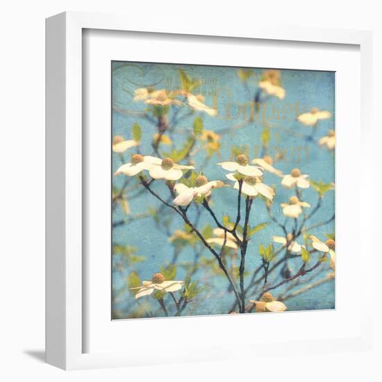 Dogwood I - Blossoming Tree-Amy Melious-Framed Art Print