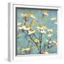 Dogwood I - Blossoming Tree-Amy Melious-Framed Art Print