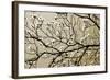 Dogwood I-Alan Hausenflock-Framed Photographic Print