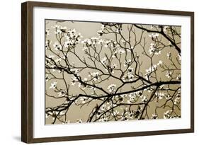 Dogwood I-Alan Hausenflock-Framed Photographic Print