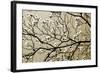 Dogwood I-Alan Hausenflock-Framed Photographic Print