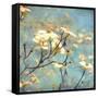 Dogwood II - Blossoming Tree-Amy Melious-Framed Stretched Canvas