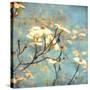 Dogwood II - Blossoming Tree-Amy Melious-Stretched Canvas