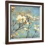 Dogwood II - Blossoming Tree-Amy Melious-Framed Art Print