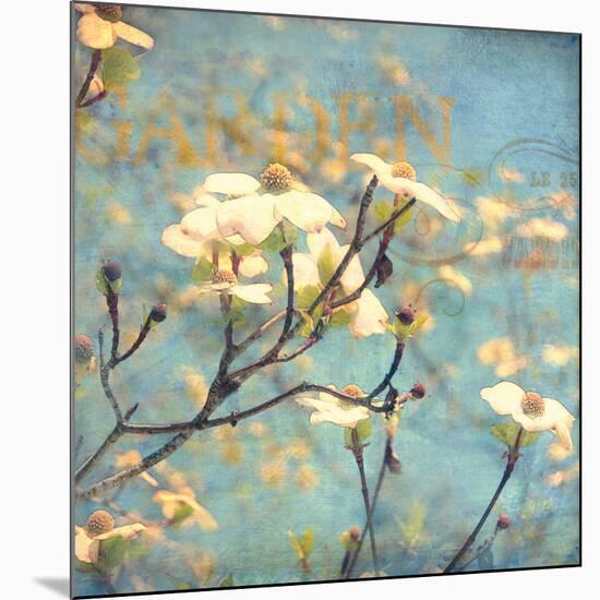 Dogwood II - Blossoming Tree-Amy Melious-Mounted Art Print