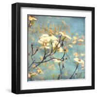 Dogwood II - Blossoming Tree-Amy Melious-Framed Art Print