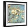 Dogwood II - Blossoming Tree-Amy Melious-Framed Art Print