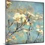 Dogwood II - Blossoming Tree-Amy Melious-Mounted Art Print