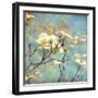 Dogwood II - Blossoming Tree-Amy Melious-Framed Art Print