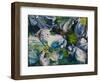 Dogwood Impressions-Lucy P. McTier-Framed Giclee Print