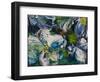 Dogwood Impressions-Lucy P. McTier-Framed Giclee Print