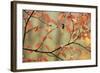 Dogwood in Autumn, with Raindrops-null-Framed Photographic Print