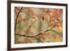 Dogwood in Autumn, with Raindrops-null-Framed Photographic Print