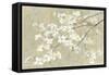 Dogwood in Spring Neutral Crop-Danhui Nai-Framed Stretched Canvas