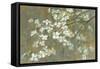 Dogwood in Spring-Danhui Nai-Framed Stretched Canvas