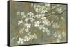 Dogwood in Spring-Danhui Nai-Framed Stretched Canvas