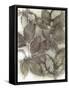 Dogwood Leaves III-Kathryn Phillips-Framed Stretched Canvas