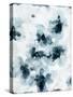 Dogwood Monochrome 2-Li Bo-Stretched Canvas