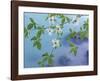 Dogwood Over River-Don Paulson-Framed Giclee Print