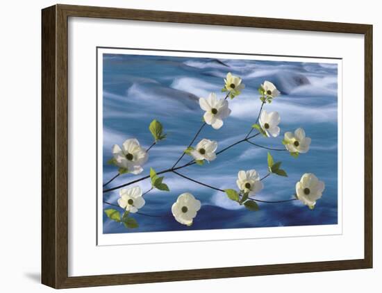 Dogwood River-Donald Paulson-Framed Giclee Print