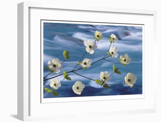 Dogwood River-Donald Paulson-Framed Giclee Print