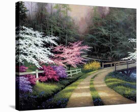 Dogwood Road-Egidio Antonaccio-Stretched Canvas