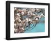 Dogwood Spring III-Sharon Chandler-Framed Photographic Print