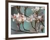 Dogwood Spring IV-Sharon Chandler-Framed Photographic Print