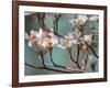 Dogwood Spring IV-Sharon Chandler-Framed Photographic Print