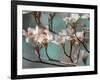 Dogwood Spring IV-Sharon Chandler-Framed Photographic Print