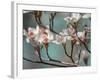 Dogwood Spring IV-Sharon Chandler-Framed Photographic Print