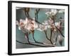 Dogwood Spring IV-Sharon Chandler-Framed Photographic Print