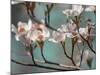 Dogwood Spring IV-Sharon Chandler-Mounted Photographic Print