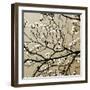 Dogwood Square I-Alan Hausenflock-Framed Photographic Print