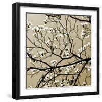 Dogwood Square I-Alan Hausenflock-Framed Photographic Print