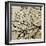 Dogwood Square I-Alan Hausenflock-Framed Photographic Print