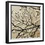 Dogwood Square I-Alan Hausenflock-Framed Photographic Print