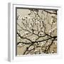 Dogwood Square I-Alan Hausenflock-Framed Photographic Print