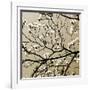 Dogwood Square I-Alan Hausenflock-Framed Photographic Print