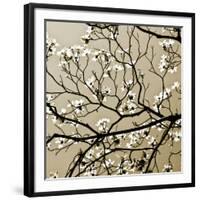 Dogwood Square I-Alan Hausenflock-Framed Photographic Print