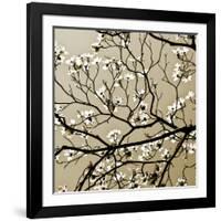 Dogwood Square I-Alan Hausenflock-Framed Photographic Print