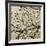 Dogwood Square I-Alan Hausenflock-Framed Photographic Print