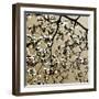 Dogwood Square II-Alan Hausenflock-Framed Photographic Print