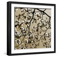 Dogwood Square II-Alan Hausenflock-Framed Photographic Print