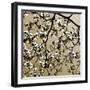 Dogwood Square II-Alan Hausenflock-Framed Photographic Print