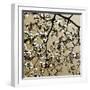 Dogwood Square II-Alan Hausenflock-Framed Photographic Print