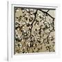 Dogwood Square II-Alan Hausenflock-Framed Photographic Print