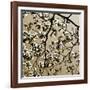 Dogwood Square II-Alan Hausenflock-Framed Photographic Print