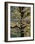 Dogwood Tree Filled with Blooms in Springtime-Gayle Harper-Framed Photographic Print