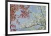 Dogwood-Donna Geissler-Framed Giclee Print